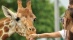 Leisure Breaks with Holiday Inn London-Gatwick Airport